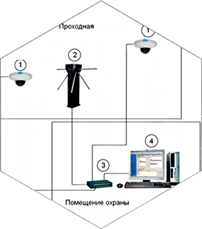Сетевые Скуд